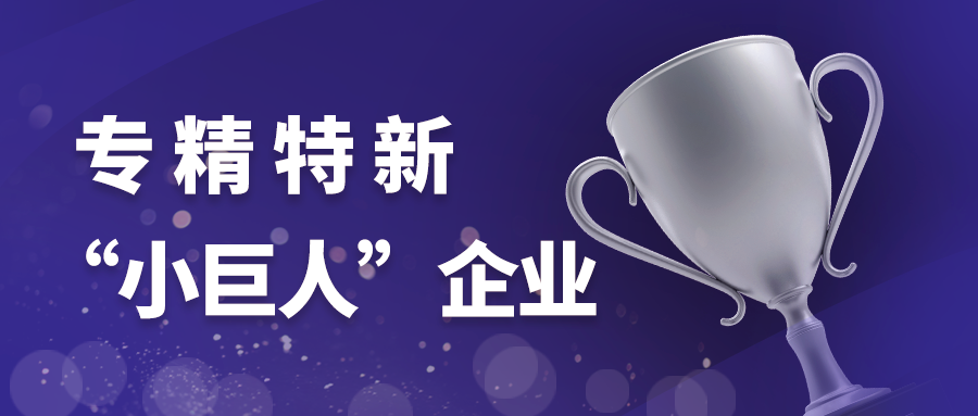 喜讯！凯发k8国际荣膺国家级专精特新“小巨人”企业称号
